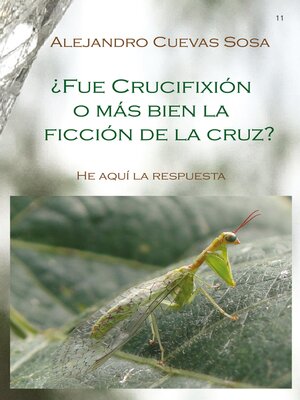 cover image of ¿Fue crucifixión o mas bien la ficcion de la cruz?